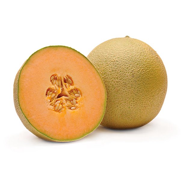 Cantaloupe Melon - Each