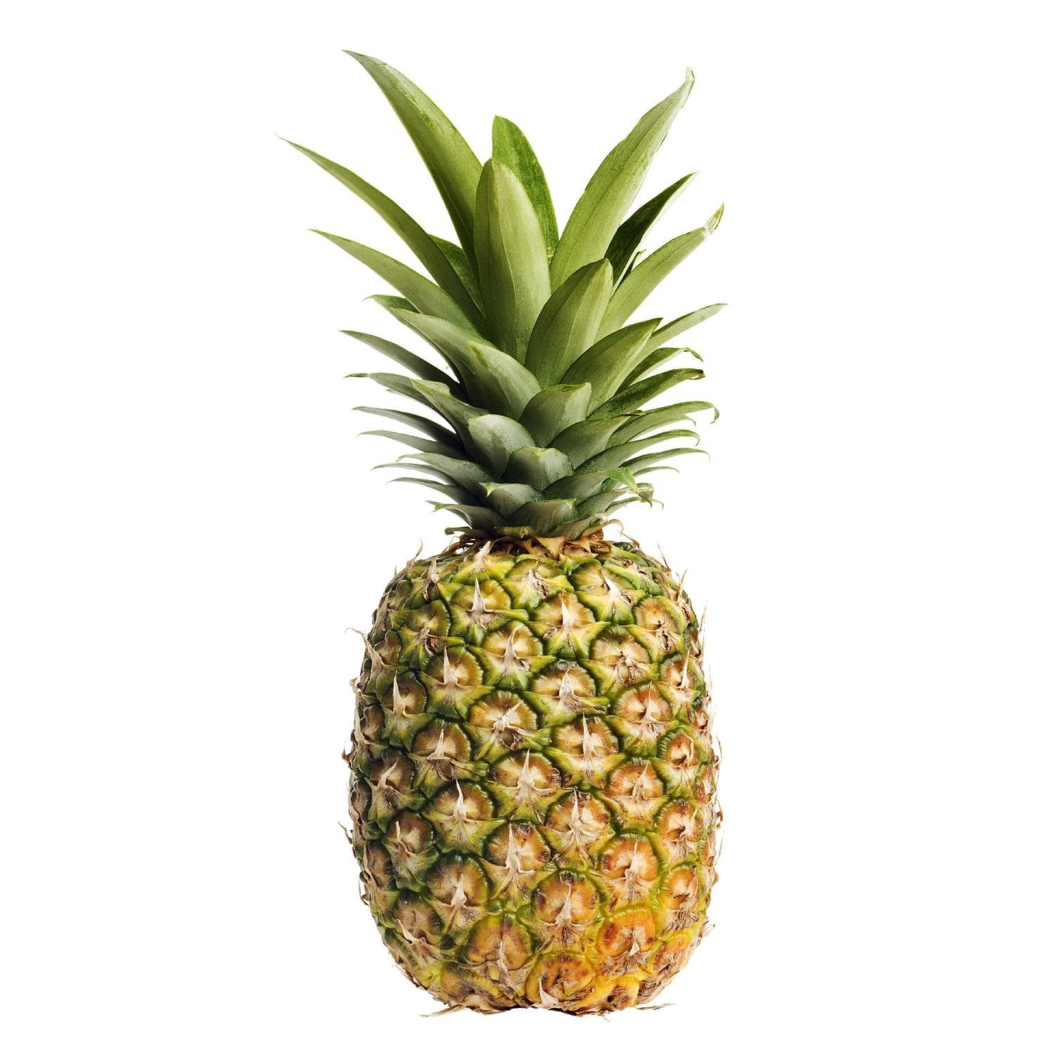 Pineapple - Each