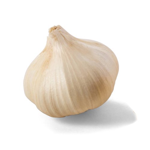 Fresh Garlic Bulb