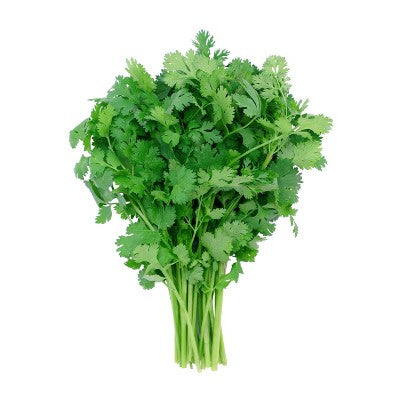 Fresh Herbs, Cilantro