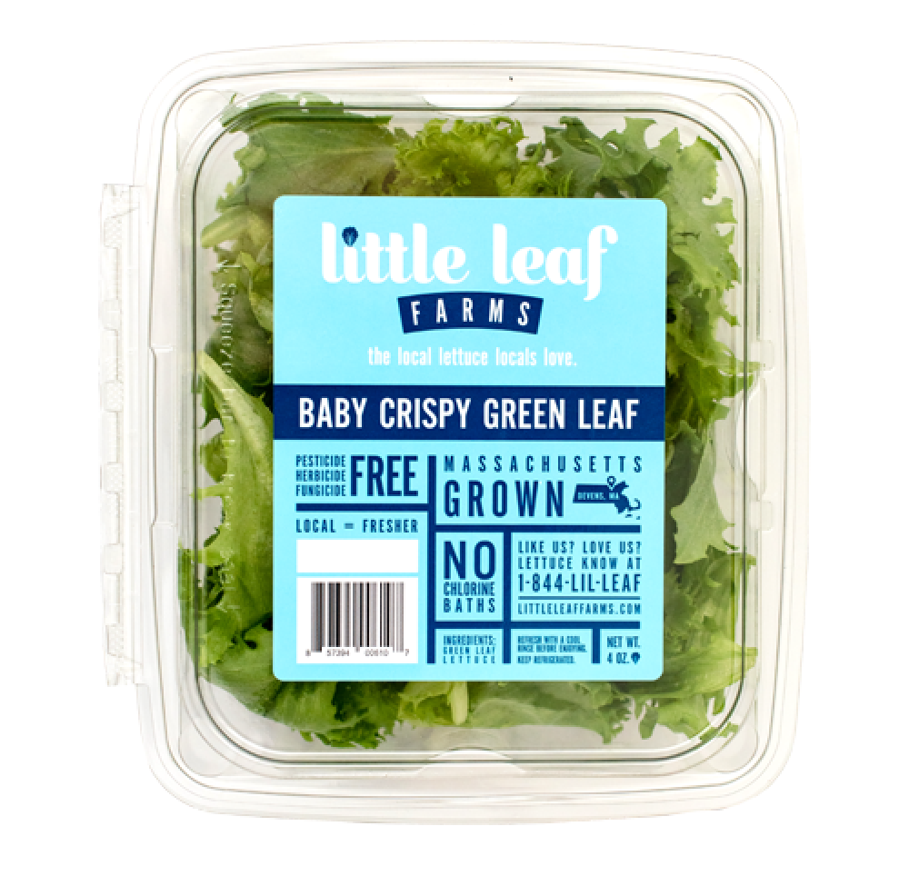 Little Leaf Crispy Green Leaf Lettuce - 4 oz