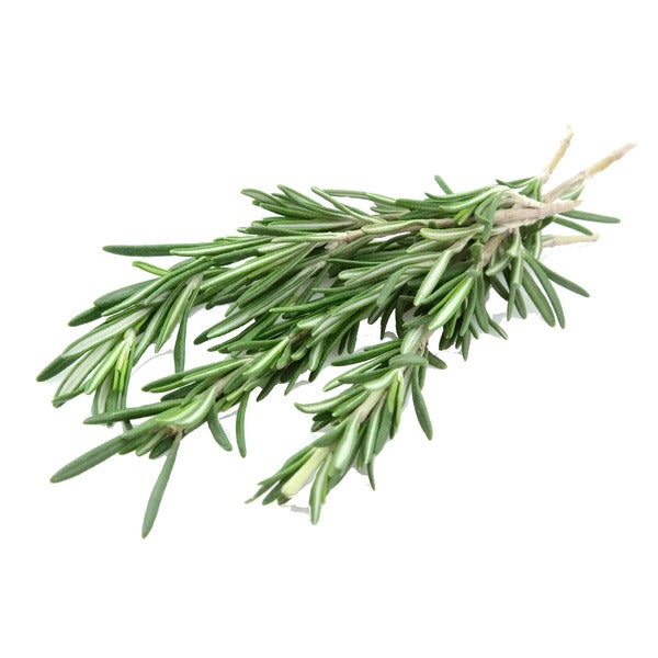 Infinite Rosemary 1 oz