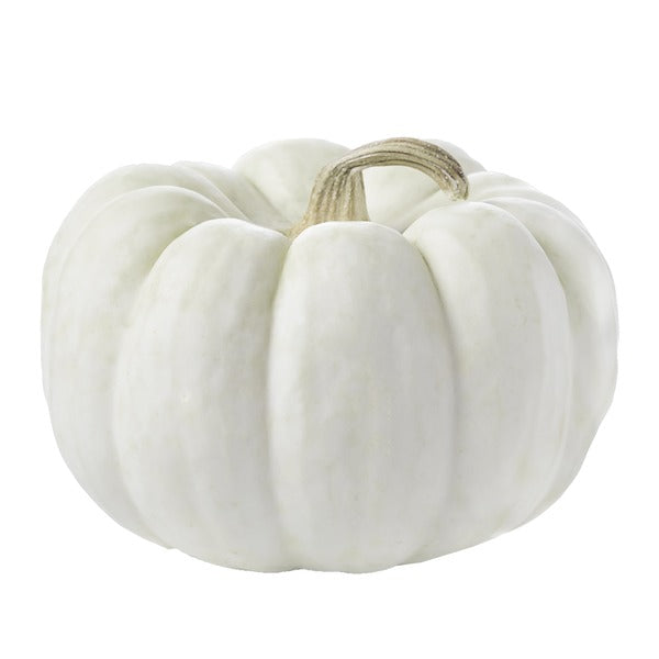 Mini White Pumpkin - each