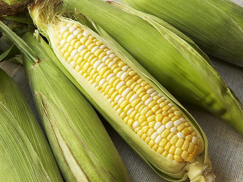 Corn, Fresh Cob - Each